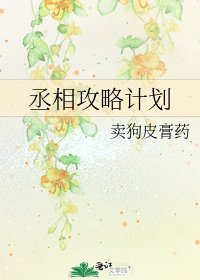 丞相攻略计划